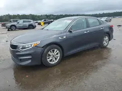 KNAGT4L30G5117185 2016 KIA OPTIMA