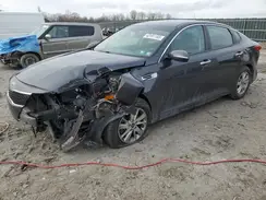 KNAGT4L30H5142492 2017 KIA OPTIMA
