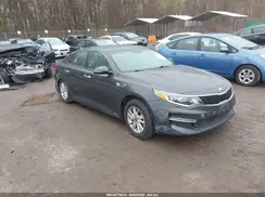 KNAGT4L31G5070037 2016 KIA OPTIMA