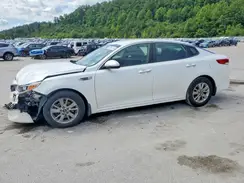 KNAGT4L31G5073746 2016 KIA OPTIMA