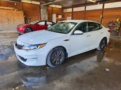 KNAGT4L31G5094113 2016 KIA OPTIMA