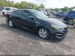 KNAGT4L31H5148172 2017 KIA OPTIMA
