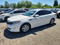 KNAGT4L31H5170723 2017 KIA OPTIMA