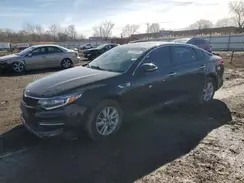 KNAGT4L31H5176506 2017 KIA OPTIMA