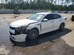 KNAGT4L32G5088076 2016 KIA OPTIMA