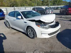 KNAGT4L32H5173775 2017 KIA OPTIMA