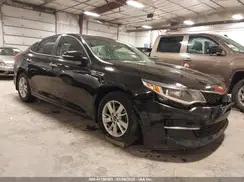 KNAGT4L33H5150909 2017 KIA OPTIMA