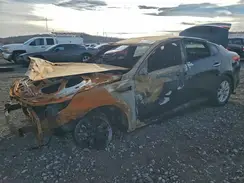 KNAGT4L33H5155723 2017 KIA OPTIMA