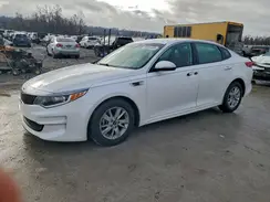 KNAGT4L33H5163577 2017 KIA OPTIMA
