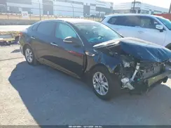 KNAGT4L33H5179178 2017 KIA OPTIMA