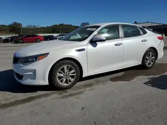 KNAGT4L33J5216672 2018 KIA OPTIMA
