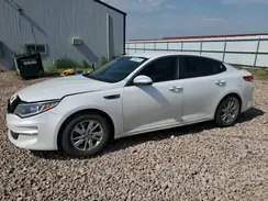 KNAGT4L34G5106531 2016 KIA OPTIMA