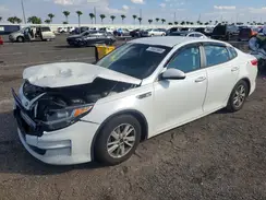 KNAGT4L34H5179299 2017 KIA OPTIMA