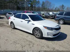 KNAGT4L35G5101838 2016 KIA OPTIMA