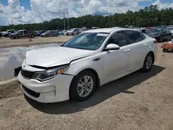 KNAGT4L37G5077316 2016 KIA OPTIMA
