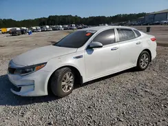 KNAGT4L38G5093749 2016 KIA OPTIMA