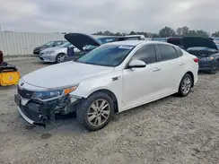 KNAGT4L38G5098529 2016 KIA OPTIMA