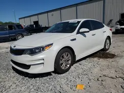 KNAGT4L38G5102045 2016 KIA OPTIMA