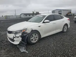 KNAGT4L38G5103177 2016 KIA OPTIMA