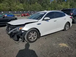 KNAGT4L38H5146483 2017 KIA OPTIMA