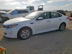 KNAGT4L39G5087331 2016 KIA OPTIMA