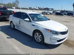 KNAGT4L39G5102636 2016 KIA OPTIMA