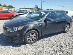 KNAGT4L39G5117542 2016 KIA OPTIMA