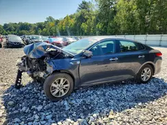 KNAGT4L39H5131703 2017 KIA OPTIMA
