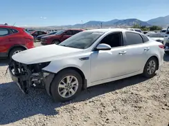 KNAGT4L39H5179167 2017 KIA OPTIMA
