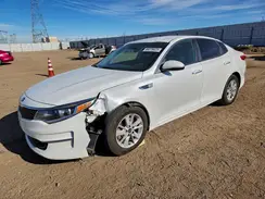 KNAGT4L3XG5103469 2016 KIA OPTIMA