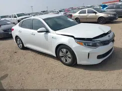 KNAGT4LC3H5008673 2017 KIA OPTIMA