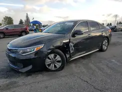 KNAGT4LC6H5004648 2017 KIA OPTIMA