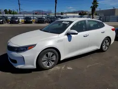KNAGT4LC6H5005380 2017 KIA OPTIMA