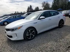 KNAGT4LC8H5006269 2017 KIA OPTIMA