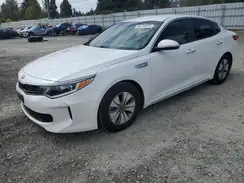 KNAGT4LCXH5004796 2017 KIA OPTIMA