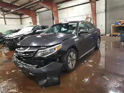 KNAGT4LE0H5014464 2017 KIA OPTIMA