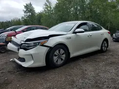 KNAGT4LE3H5018301 2017 KIA OPTIMA