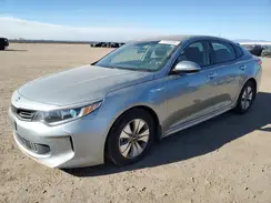 KNAGT4LE3H5018783 2017 KIA OPTIMA