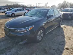 KNAGT4LE4H5013558 2017 KIA OPTIMA