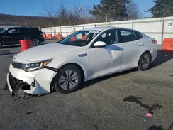 KNAGT4LE4H5014449 2017 KIA OPTIMA