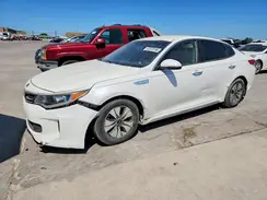 KNAGT4LE6H5009950 2017 KIA OPTIMA