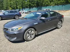 KNAGT4LE6H5013383 2017 KIA OPTIMA