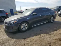 KNAGT4LE6H5018812 2017 KIA OPTIMA