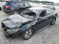 KNAGT4LE6H5019023 2017 KIA OPTIMA