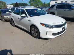 KNAGT4LE7H5009570 2017 KIA OPTIMA