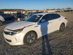 KNAGT4LE7H5010296 2017 KIA OPTIMA