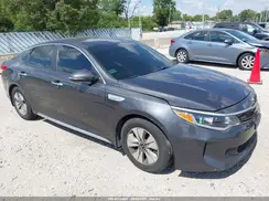KNAGT4LE8H5010954 2017 KIA OPTIMA