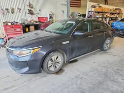 KNAGT4LE9H5018531 2017 KIA OPTIMA