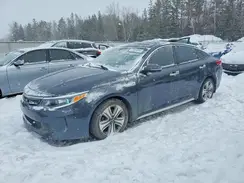 KNAGU4LC0H5008482 2017 KIA OPTIMA