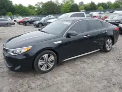 KNAGU4LC4H5005343 2017 KIA OPTIMA